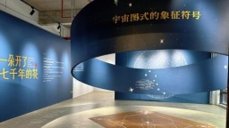 这一朵花，开了七千年！“中国四叶纹纹样溯源展”启幕