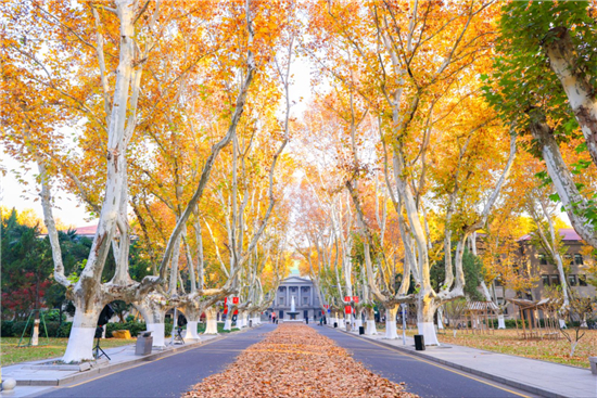 东南大学梧桐文化节启幕 新生快闪以青春之歌唱响报国强音_fororder_图片9