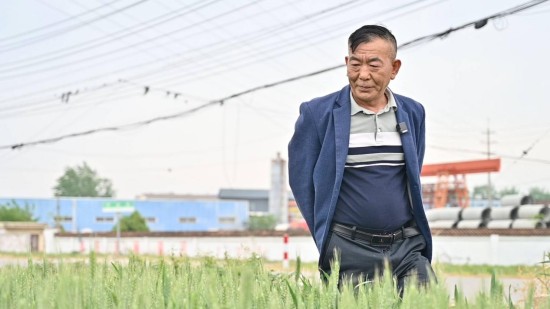 淮安市清江浦区:城郊荒地里长出“诗与远方”