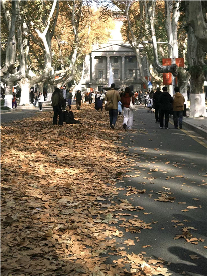 东南大学梧桐文化节启幕 新生快闪以青春之歌唱响报国强音_fororder_图片11