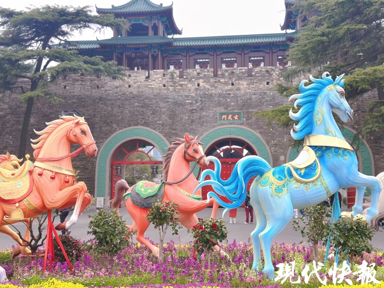 繁花满城，南京赏花公交专线来了_fororder_20260330_093317_007