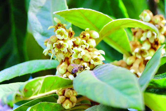 图片默认标题_fororder_微信图片_20260113092949