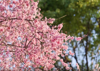 视频丨邮储镇江发力，句容特色民宿奏响乡村旅游振兴乐章_fororder_微信图片_20251027152554