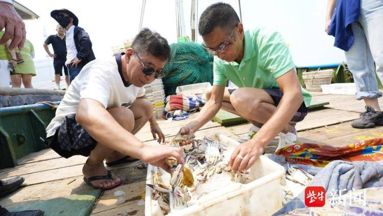 滩涂寻蛤、渔港抢鲜 上海家庭乐游江苏如东之“鲜”——“吃得好、住的好，下次还要再来！”