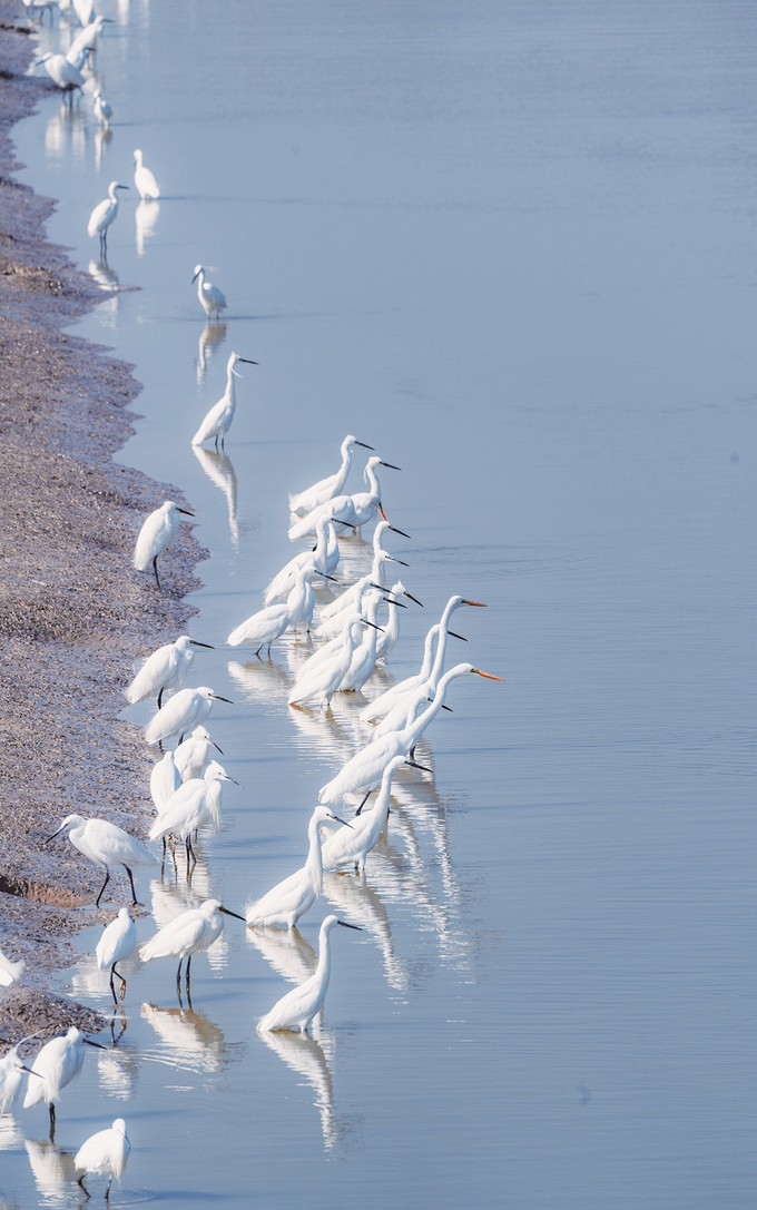 如东：长风万里绘新绿_fororder_微信图片_20251230094114