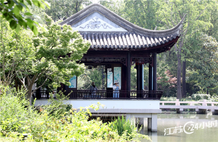 苏州：虎丘绿意浓_fororder_gegXABuiBpTYGJzf1EympYDJ