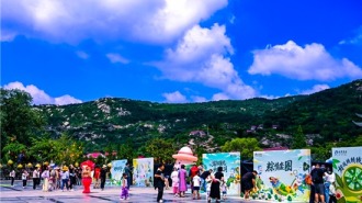 荷风粽香遇数字新潮 连云港端午文旅绘就古今融合新图景