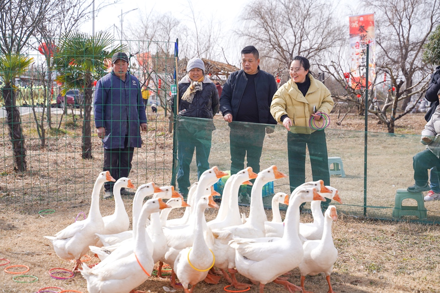 江苏南京：“秦淮源头”探年味儿_fororder_LOCAL176809004058487YGVX0SK3