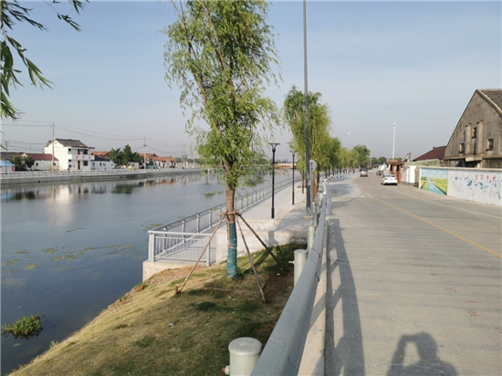 泰州兴化戴南“非遗文化墙”成为“水上赛道”新景观_fororder_图片1