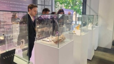 中国东海携水晶、手工穿戴甲特色产业亮相米兰