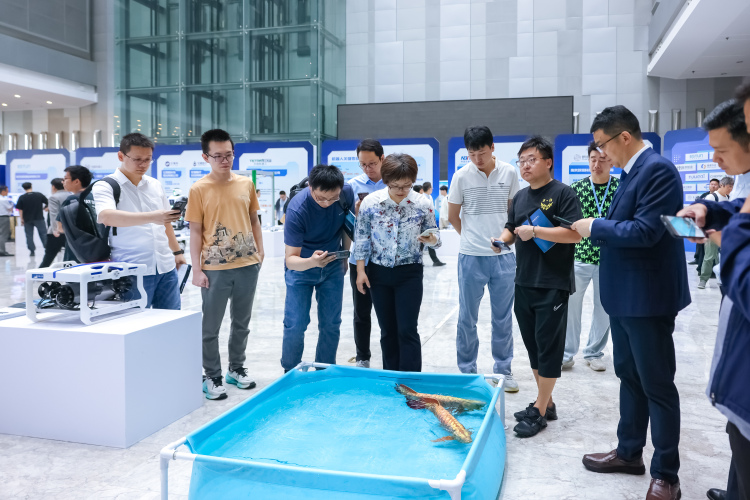 南京市举行2025智能机器人发展大会_fororder_2
