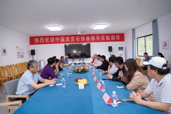 雨花石地质公园亮相南京矿博会 寿嘉华等专家考察园区建言献策_fororder_图片6_副本
