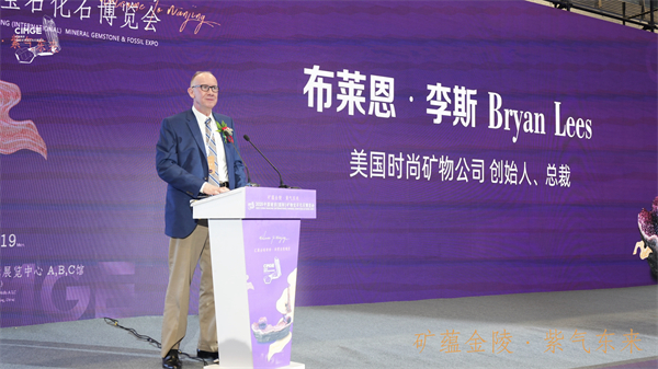 从紫晶“宝船”到国际论坛 2025南京矿博会打造全球矿物文化交流高地_fororder_29