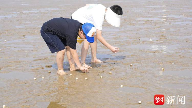 滩涂寻蛤、渔港抢鲜 上海家庭乐游江苏如东之“鲜”——“吃得好、住的好，下次还要再来！”