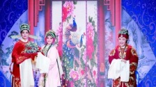南京：越韵流芳 景中生“戏”