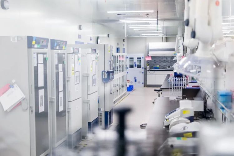 42米巨屏里的江北