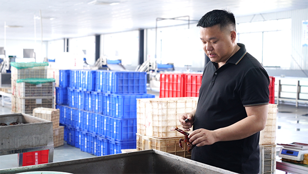 “虾盟主”的四季鲜虾梦：带农民当股东 让川虾不断货_fororder_图片-2
