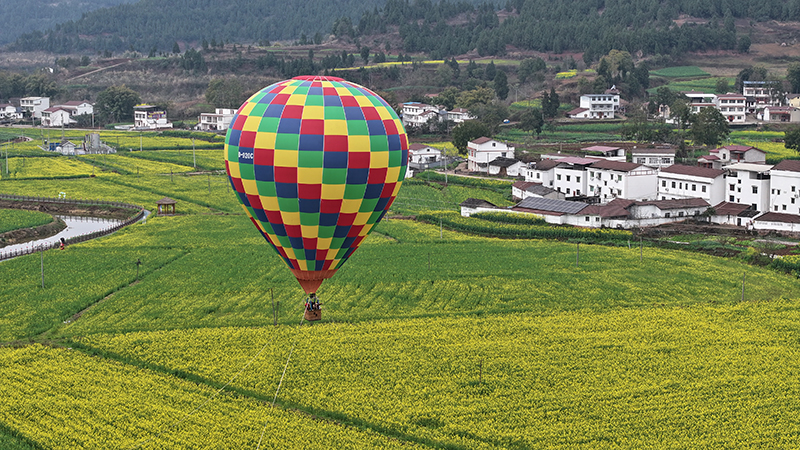 Suining in Bloom: A Golden Spring Journey to Pengxi's Vast Rapeseed Flower Fields_fororder_微信图片_20250313105055