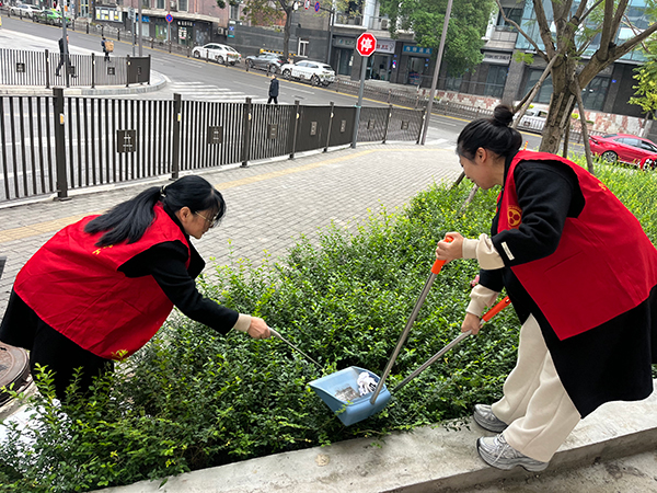 自贡自流井区：志愿服务热潮扮靓城区环境