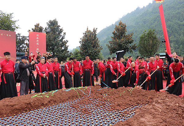 第十四届金堂种酒文化节开幕