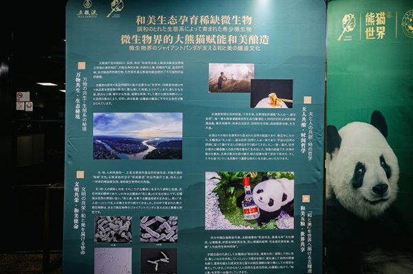 2025年五粮液“和美全球行”首站日本启幕 携手“双宝”向世界讲述“和美”故事_fororder_五粮液主题展-供图-五粮液集团