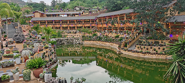 攀枝花将加快建设国际旅游城市 打造世界级阳光康养旅游目的地_fororder_攀枝花多肉文化主题餐厅-摄影-杨建昆