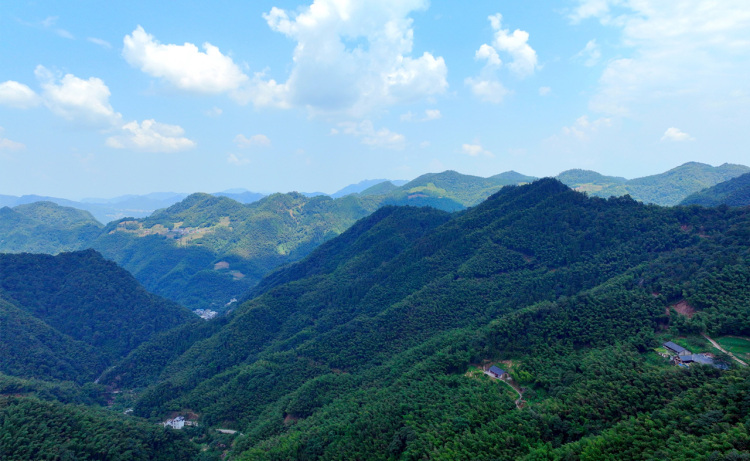宜宾筠连：“三地一城”打造川滇结合部休闲避暑旅居康养胜地_fororder_大雪山-供图-筠连县融媒体中心