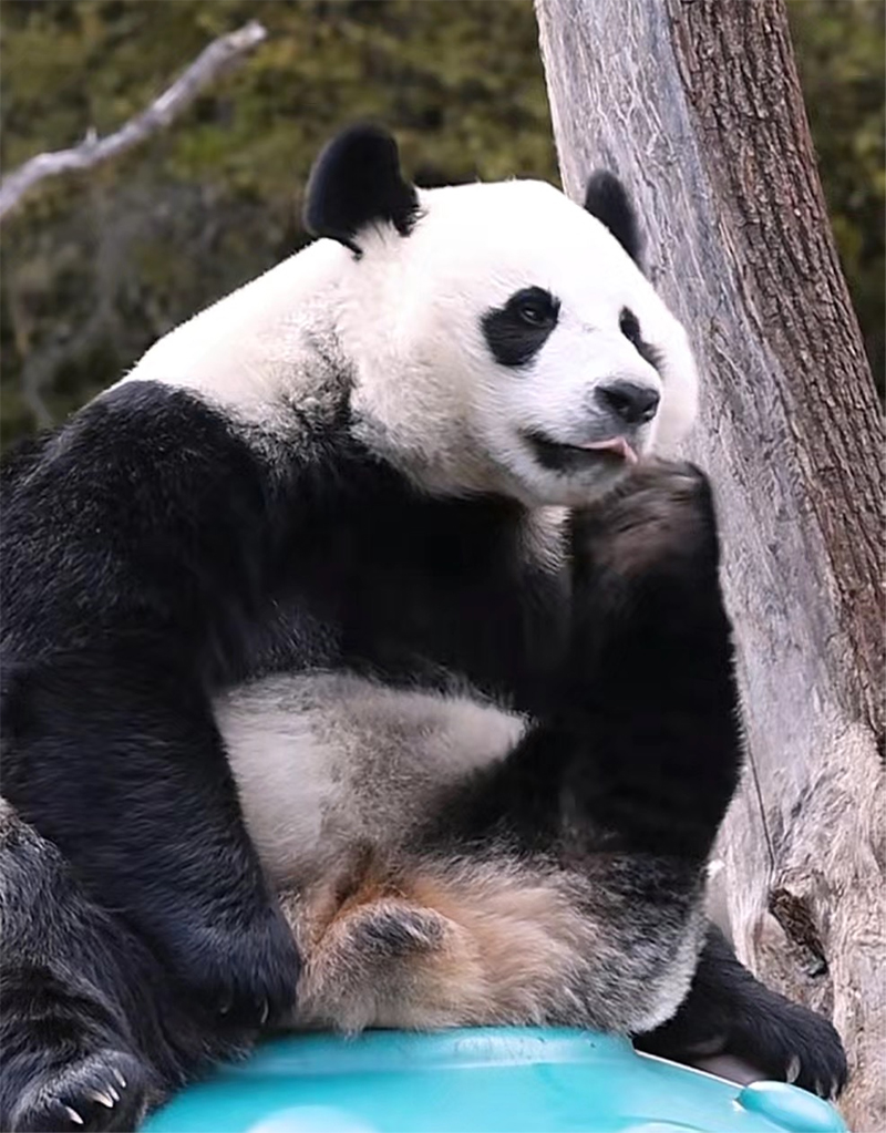 “梦”游九寨｜国庆假期去哪儿？走，去九寨沟探秘生态乐园