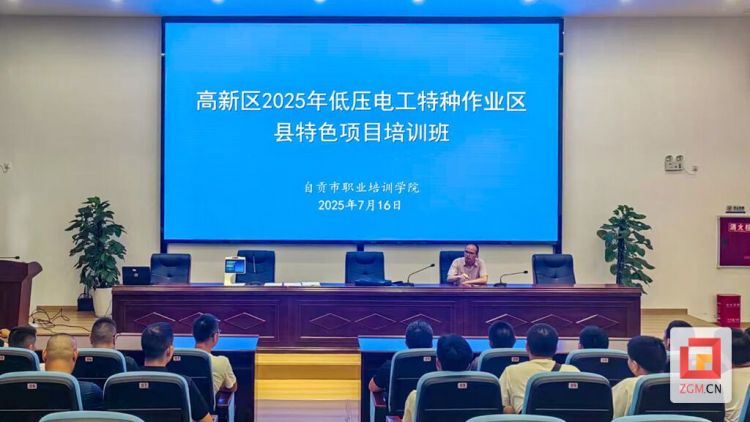 自贡高新区：破解用工难题 推动就业与产业协同发展