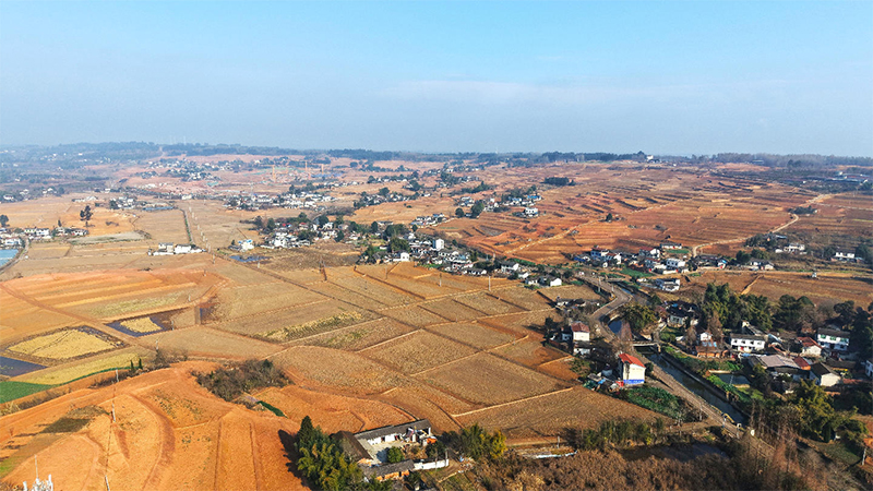 德阳市罗江区：“土地魔术”重塑天府粮仓_fororder_未标题-1