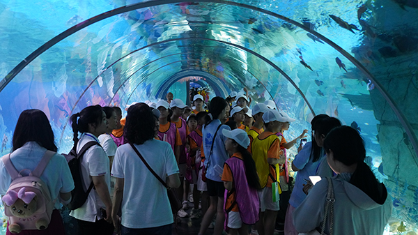 泸州纳溪：多彩缤纷夏令营开启夏日多元成长之旅_fororder_同学们参观泸州海洋世界。-张玉龙-摄
