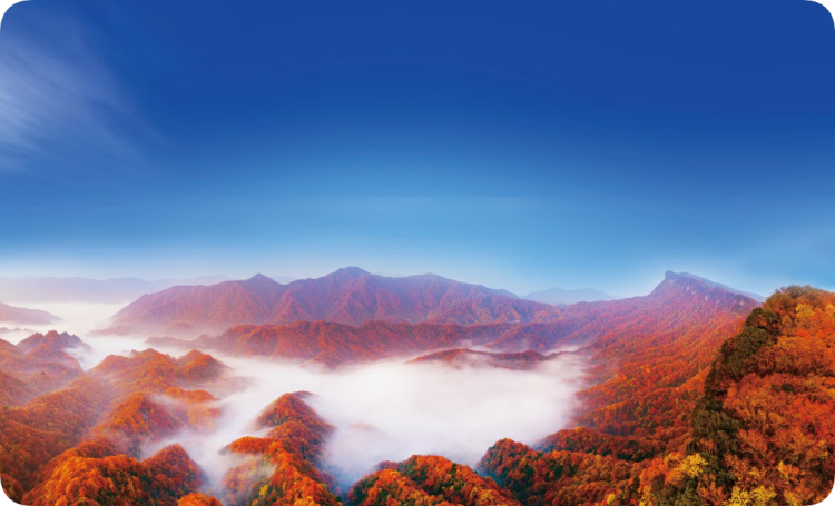 四川巴中赴上海发出“红叶邀约” 金秋来光雾山赏天然“红毯”_fororder_ZF0024_QWLNYoCMKdUuhWgA0mLTXfa.JPG