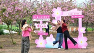 四川仁寿: 踏青赏花 乐享春光
