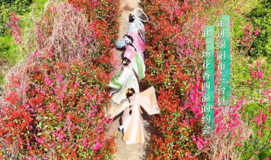 视听四川 百部川扬｜就在三台！这片金色油菜花海配上粉嘟嘟的桃花林，直接封神！_fororder_三台