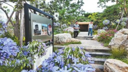 一年涌入百万人次 “陌上姜州”建起“幸福小院”