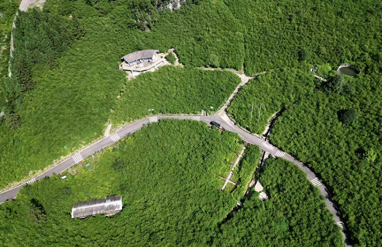 特色旅游 绿色转型 油茶飘香 四川兴文县奏响民族地区乡村振兴“进行曲”_fororder_图片-3