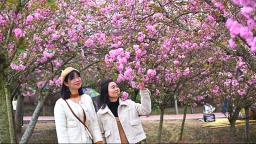 四川仁寿: 踏青赏花 乐享春光