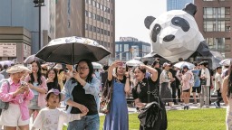 成都：经济迸活力 文旅引热潮