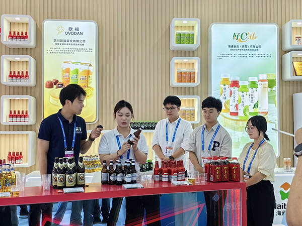 资阳：地铁上的创业城市闪耀西博会_fororder_图片-1