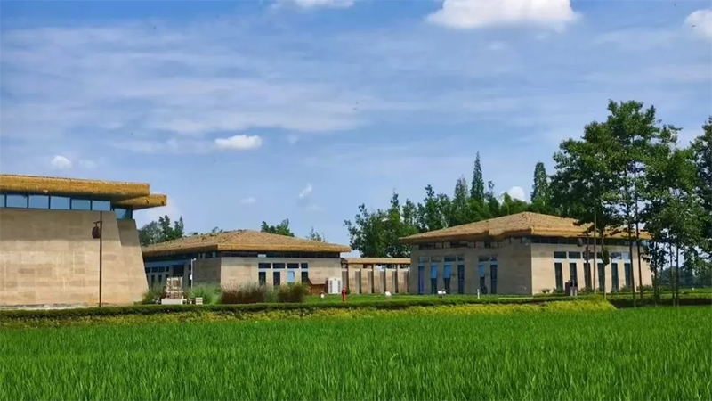 “‘津’彩‘食’光 青春‘映像’”青年创意微视频大赛投票通道正式开启_fororder_未标题-2