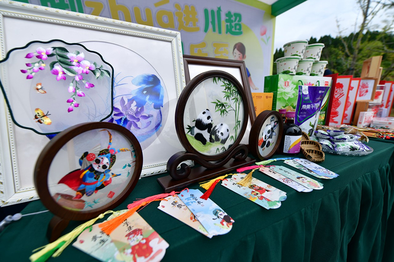 资阳：四张名片绘新景 全域融合启新篇_fororder_图片-4