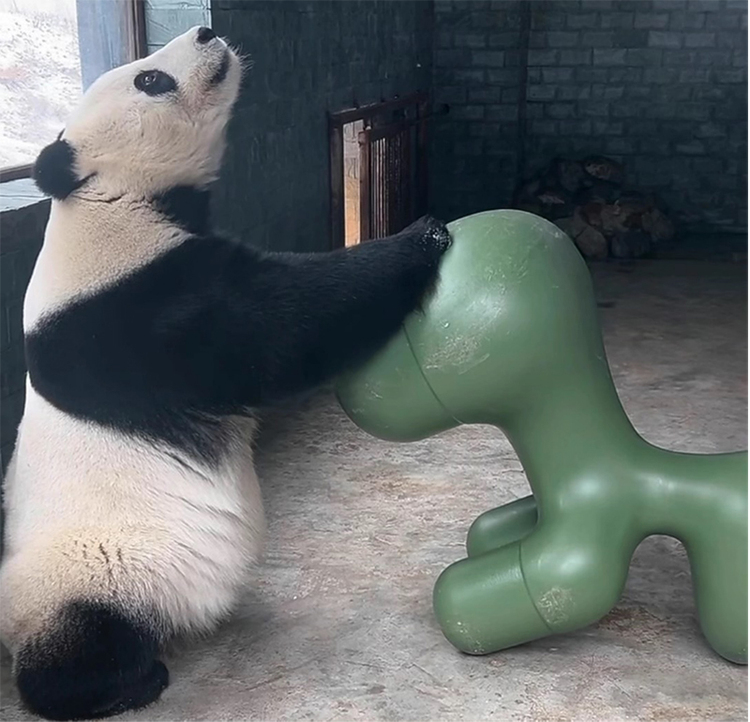 “梦”游九寨｜国庆假期去哪儿？走，去九寨沟探秘生态乐园