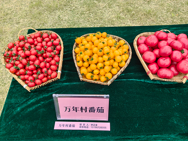 内江举行“‘镇’了不起”主题新闻发布会 解码东兴区田家镇“三色”发展_fororder_特色农产品-摄影-兰自涛