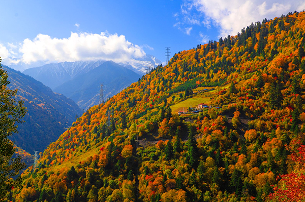 “万千气象看四川·县域经济高质量发展”黑水专场新闻发布会举行_fororder_图片-2