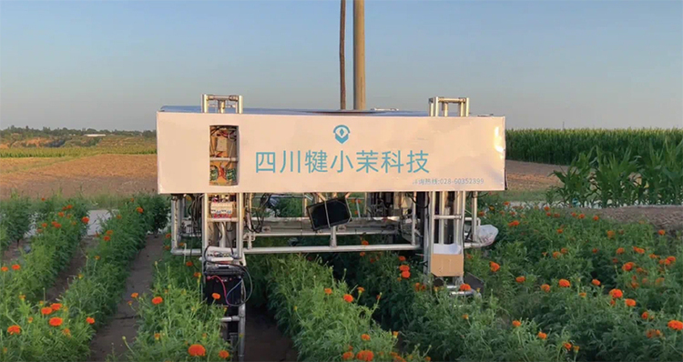 无人机盘旋、AI机器人穿梭 成都春耕上演“科技大片”_fororder_现代农业基地-供图-成都市农业农村局