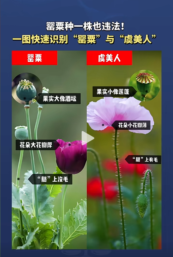 遂宁三名“小孩哥”“立功”了 手写“举报信”获民警公开表扬