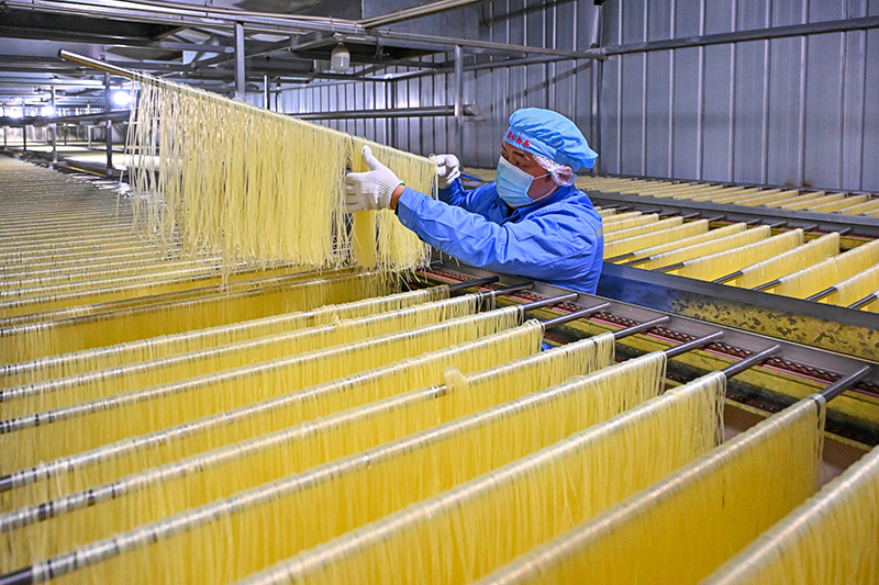 眉山仁寿：粉条加工助农增收_fororder_2025年4月2日，在位于四川省眉山市仁寿县文宫镇的蜀仁食品有限公司粉条生产车间，工人们正在粉条生产线上忙绿。图2