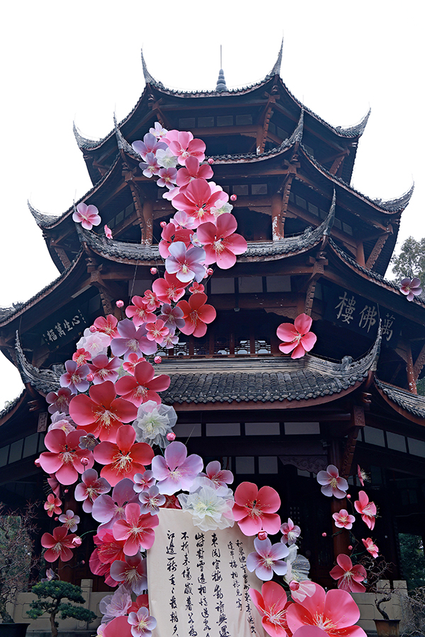 大雅中国年·人日游草堂：梅花映古意 新春启雅韵