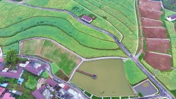 眉山仁寿：“四好农村路”条条坦途通振兴