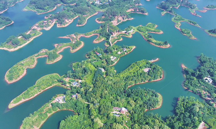 眉山仁寿：水上盆景 绿意盎然_fororder_010